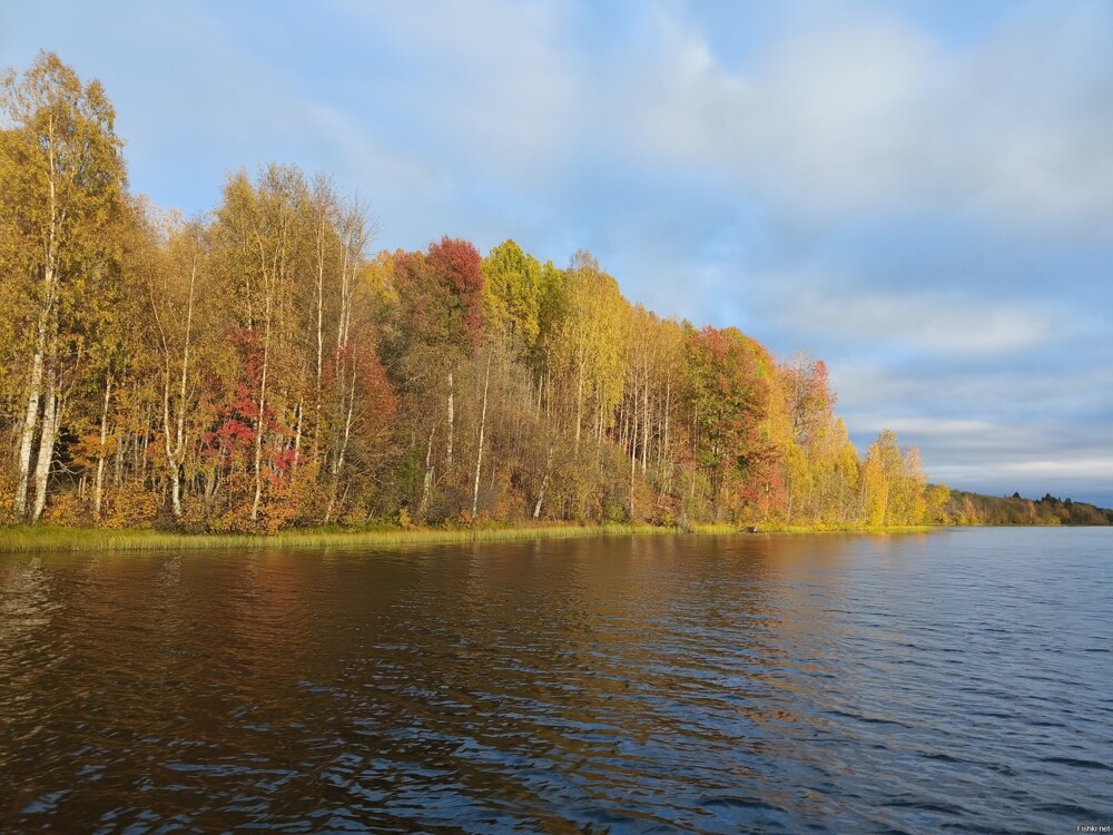 осень в южной Карелии