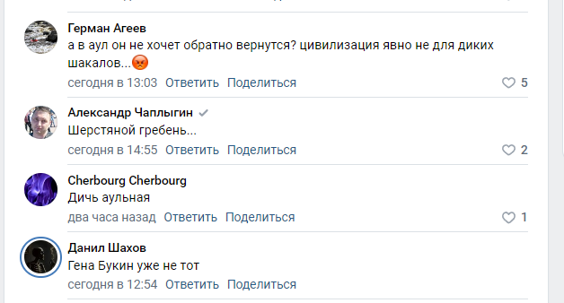 "Кто тебе дал право так вести себя с нашими женщинами?": в соцсетях возмущаются очередным джигитом, оскорбляющим россиянок