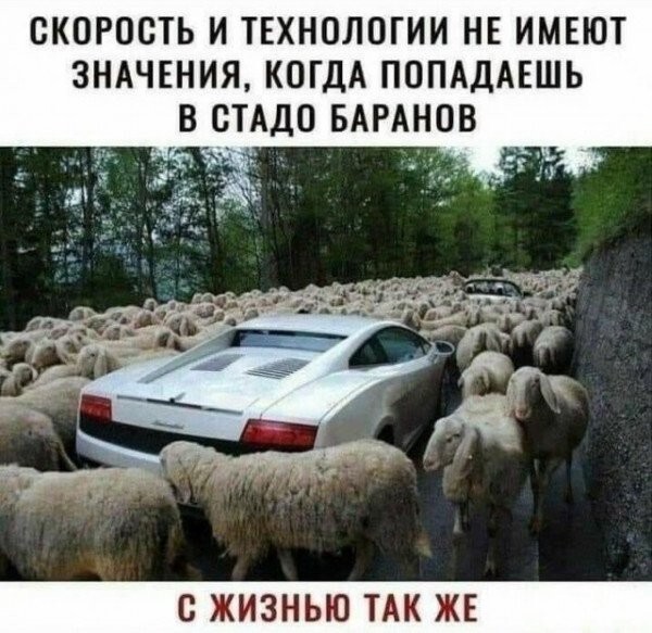 С прошедшим понедельником