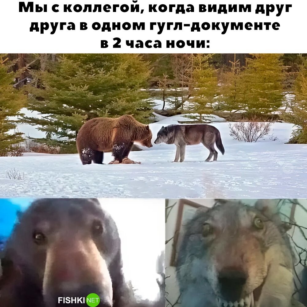 Жизненно 