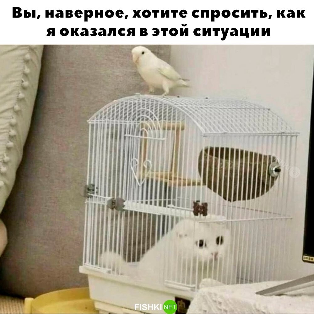 Загадка 