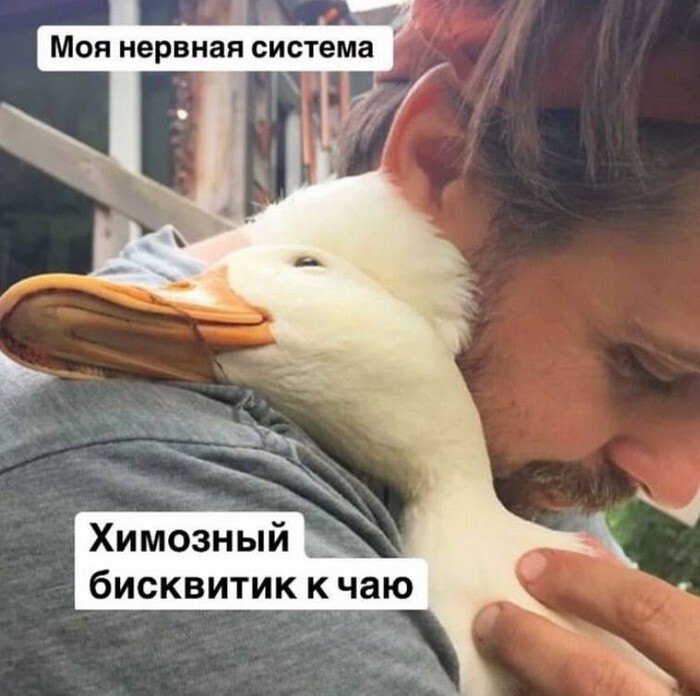  Намешалось 