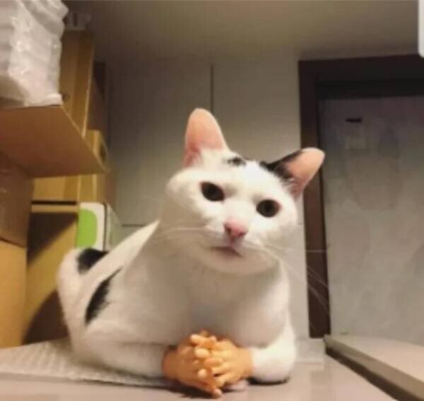  Намешалось 