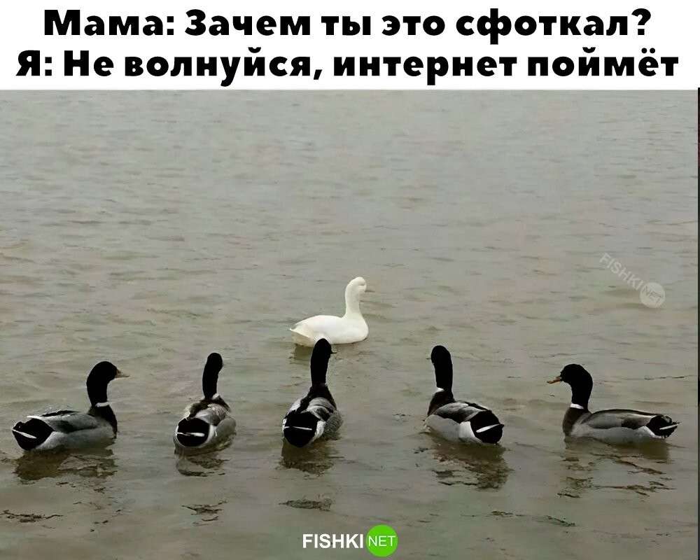 Кто понял, тот понял 