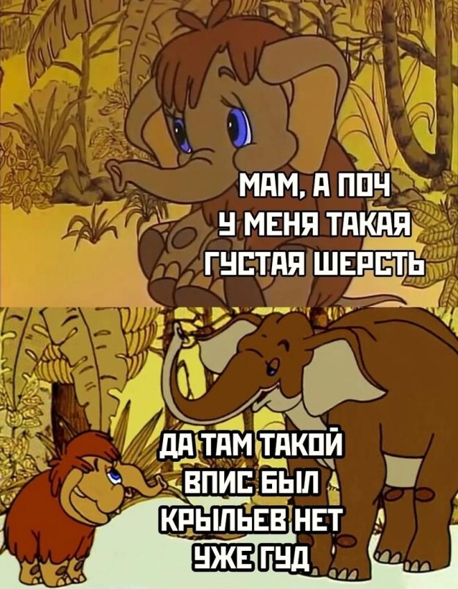 Всё вразнобой 