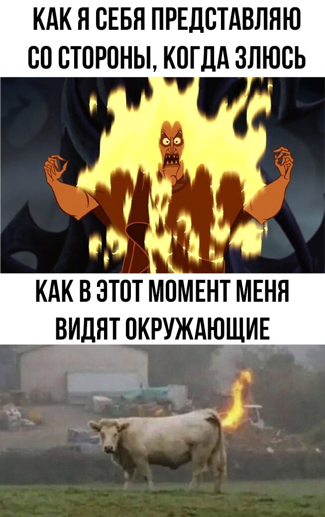 Улыбатор