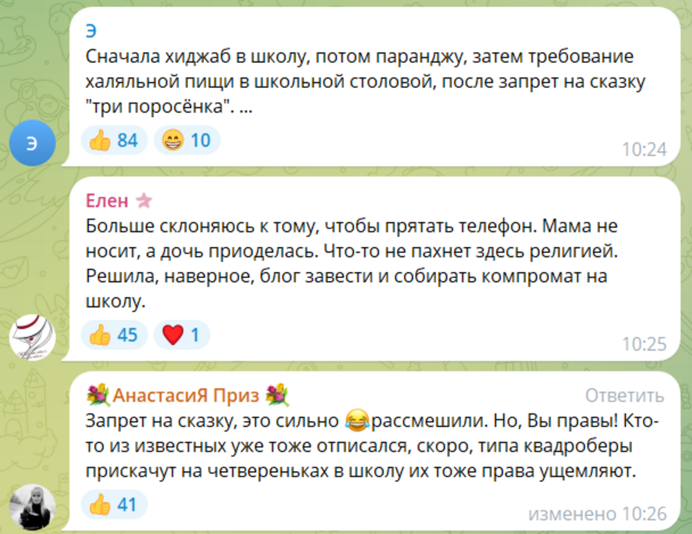 «Затем потребует халяльную пищу, а после - запретить сказку Три поросёнка»: в Волгограде случился скандал из-за девочки, пришедшей на урок русского языка в хиджабе