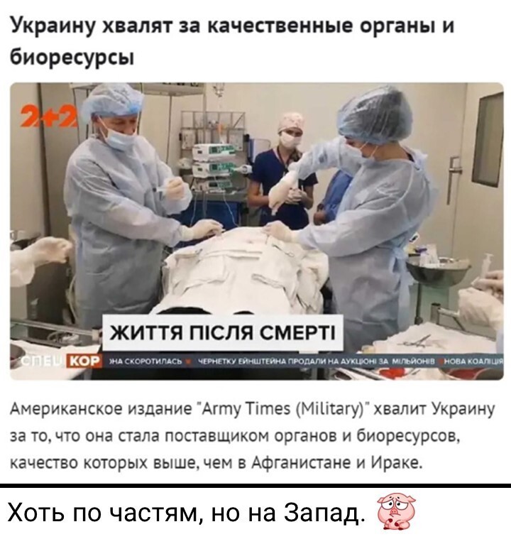 Политический мониторинг (481)