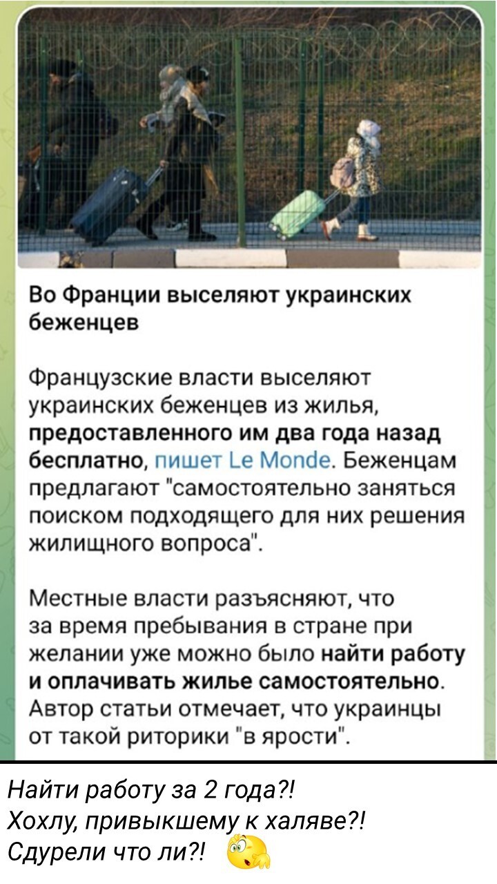 Политический мониторинг (481)