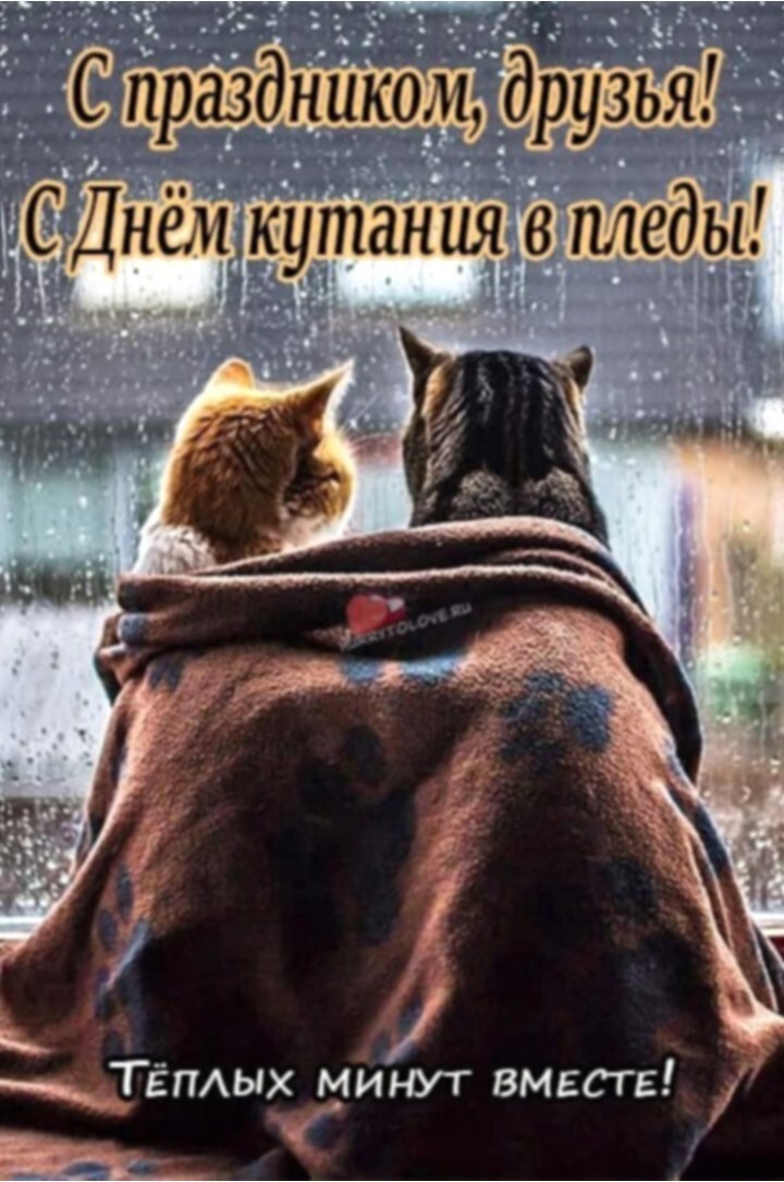 Политический мониторинг (481)