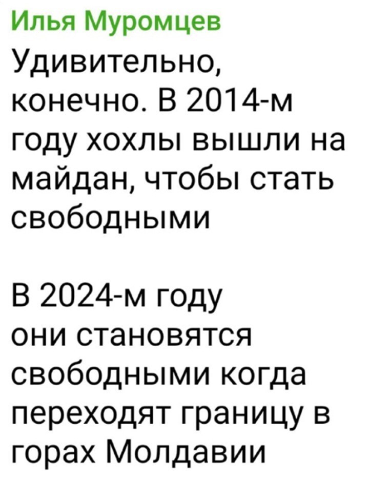 Политический мониторинг (481)