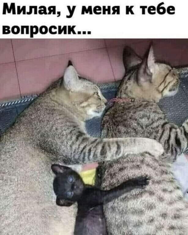 Улыбатор