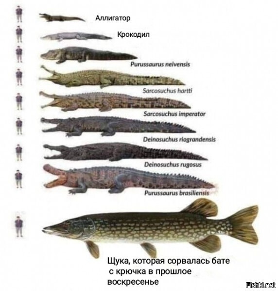 Улыбатор