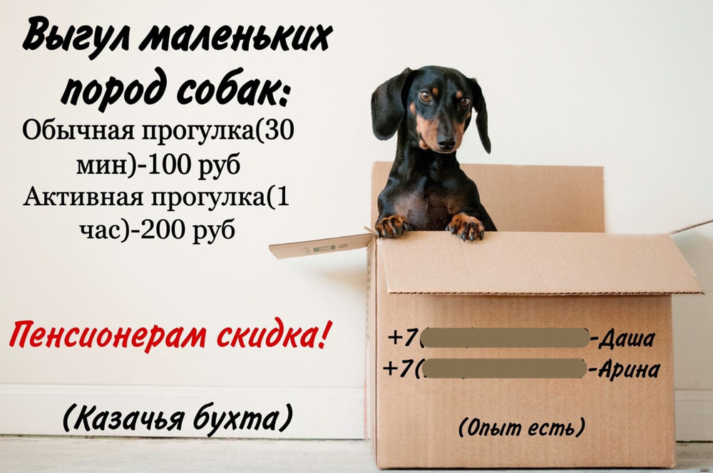 Сколько можно заработать на выгуле собак: одна из самых простых зоо-работ
