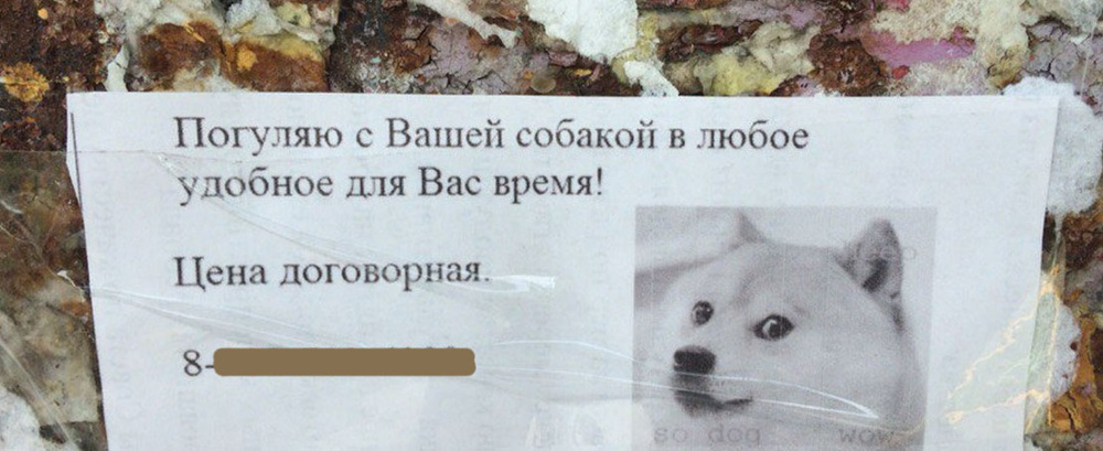 Сколько можно заработать на выгуле собак: одна из самых простых зоо-работ