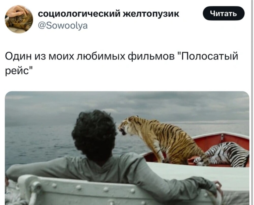 Хорошо плывут....