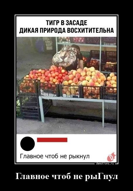 Главное чтоб не рыГнул