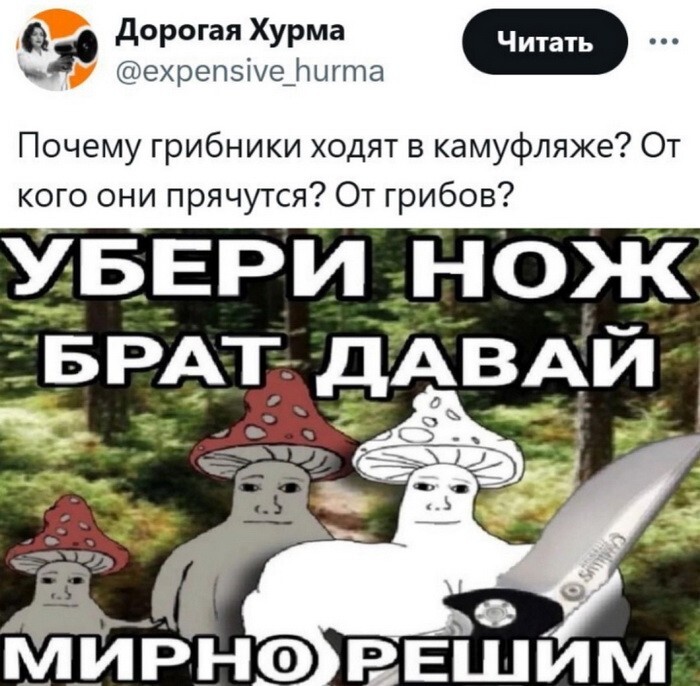 Не ищите здесь смысл. Здесь в основном маразм