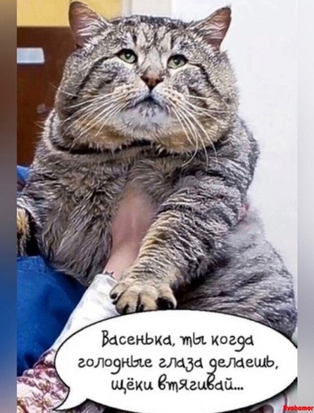 С выходными!