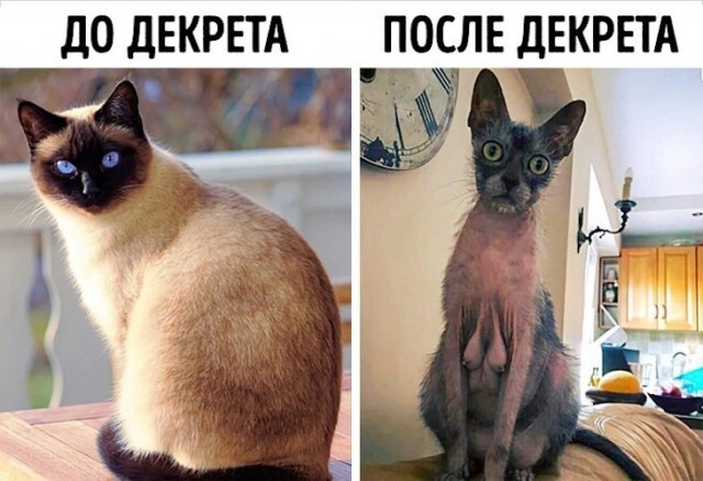 С выходными!
