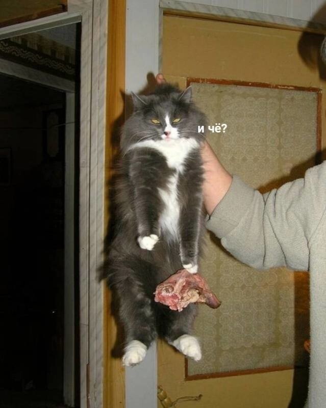 С выходными!
