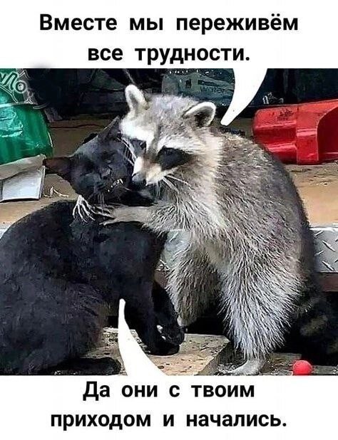 С выходными!