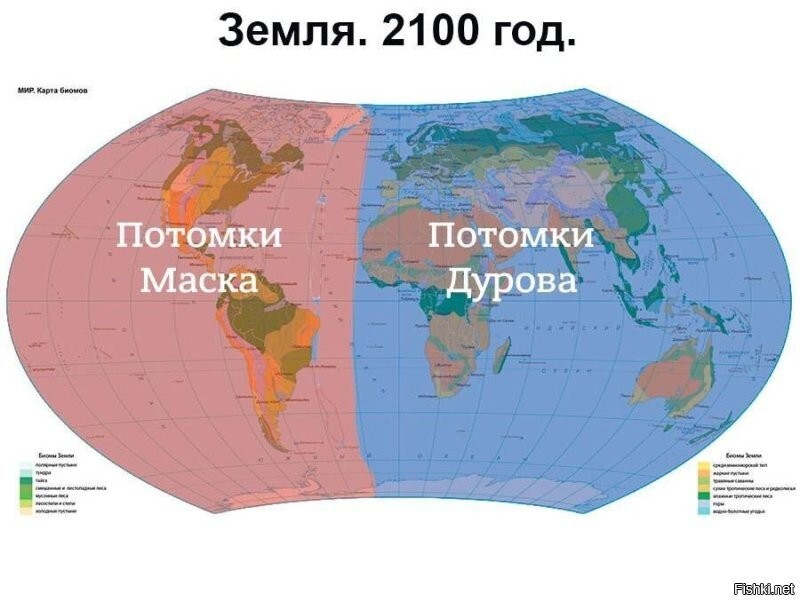 Московская клиника предлагает сделать бесплатное ЭКО биоматериалом от Дурова