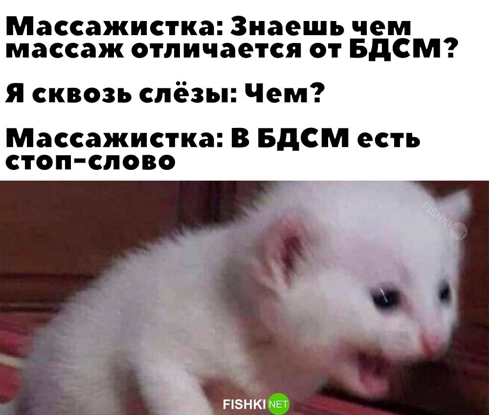 Смешные картинки