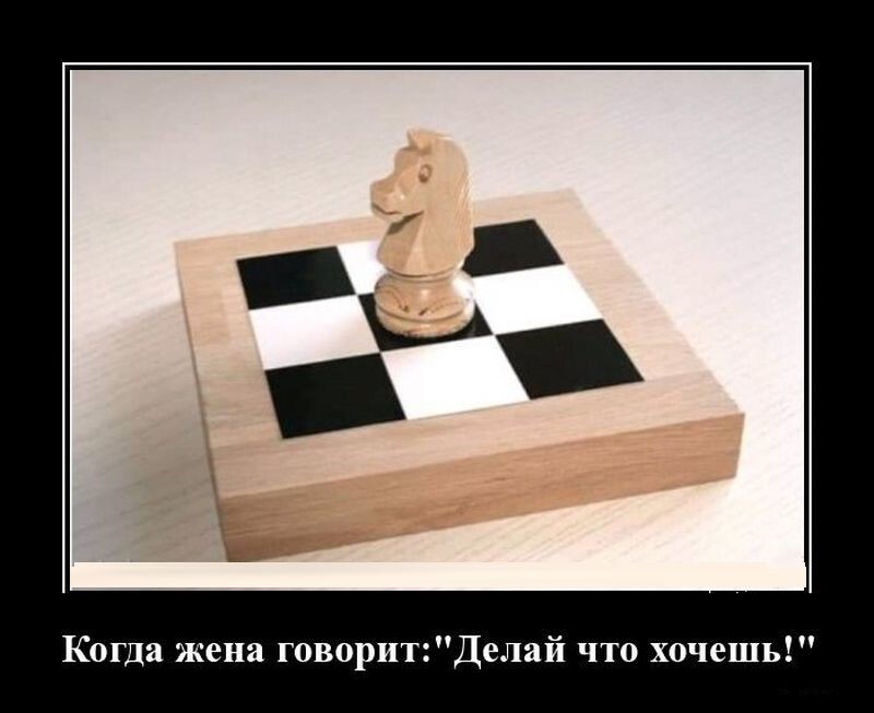 Демотиваторы для ценителей юмора