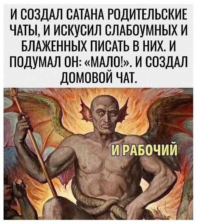 Скрины из соцсетей            