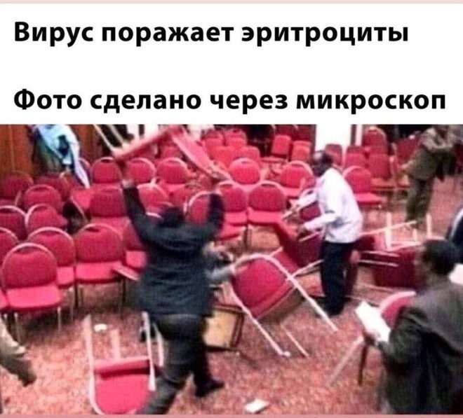 Скрины из соцсетей            