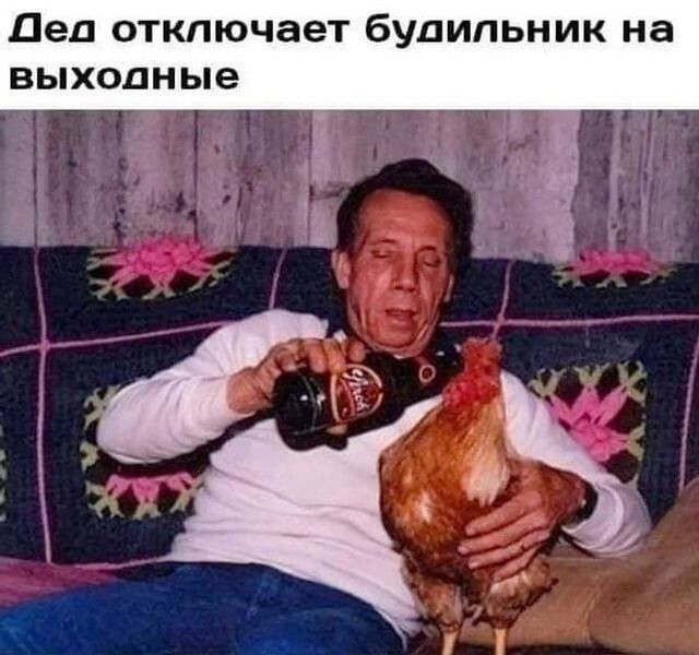 Скрины из соцсетей            