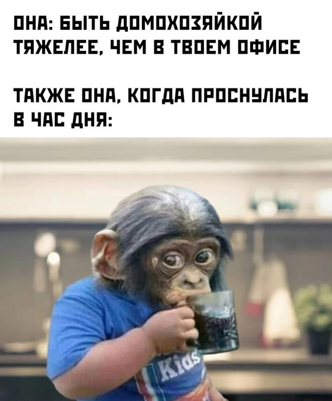 Скрины из соцсетей            