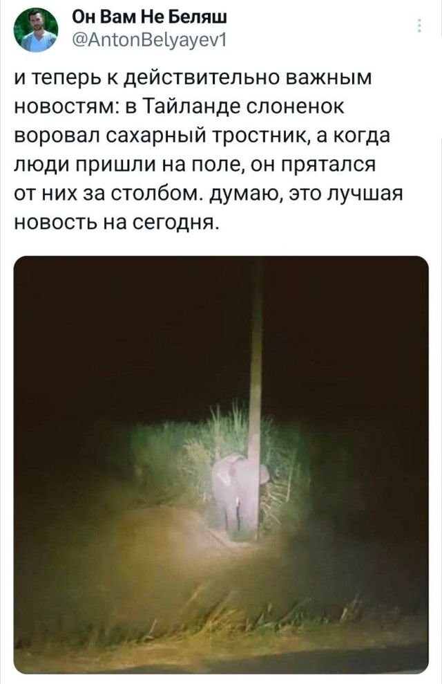 Не ищите здесь смысл. Здесь в основном маразм