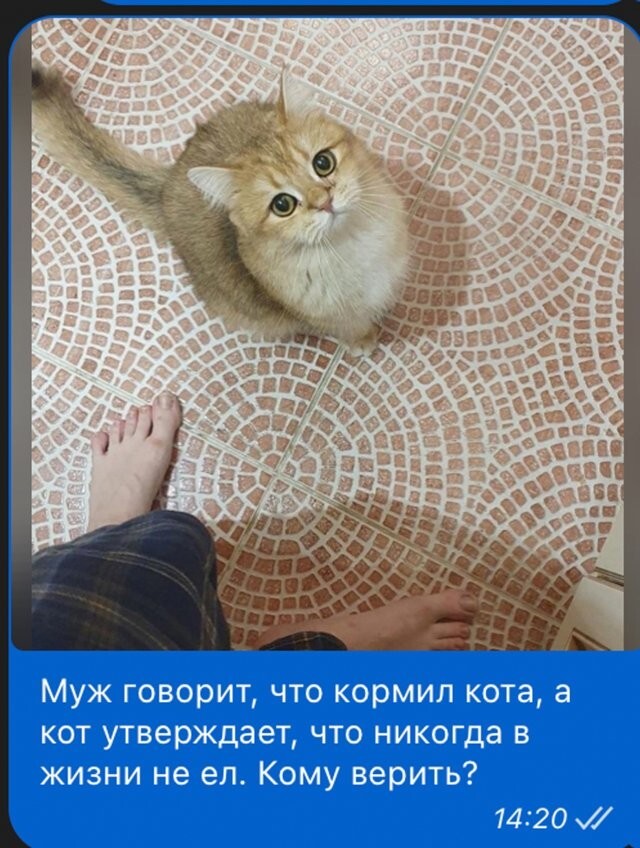 Не ищите здесь смысл. Здесь в основном маразм