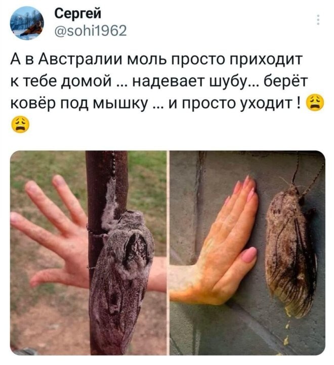 Не ищите здесь смысл. Здесь в основном маразм