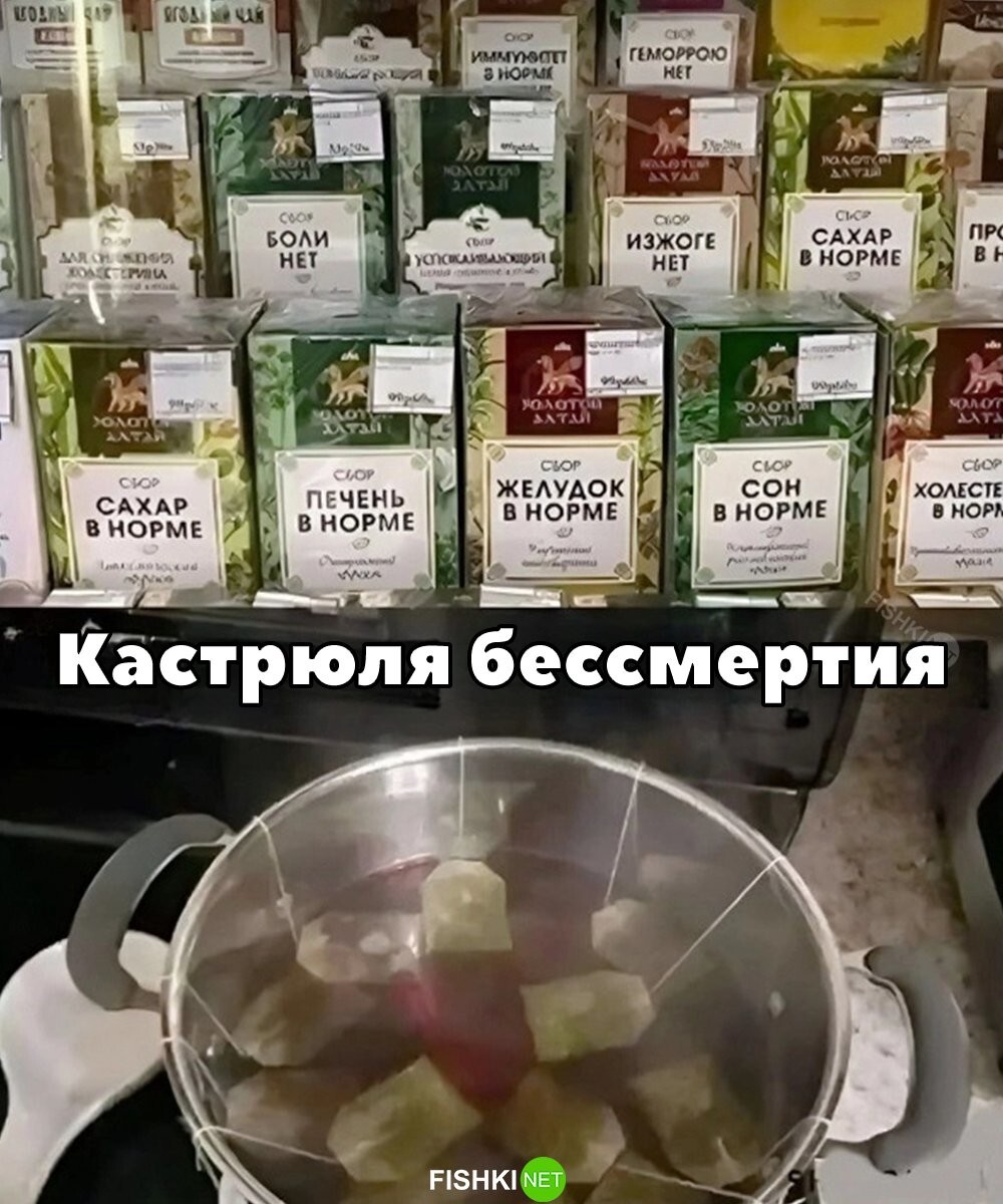 Кастрюля бессмертия 
