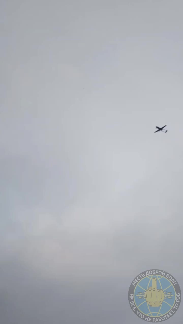Месть доброй воли 