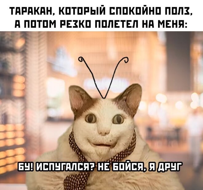  Намешалось 