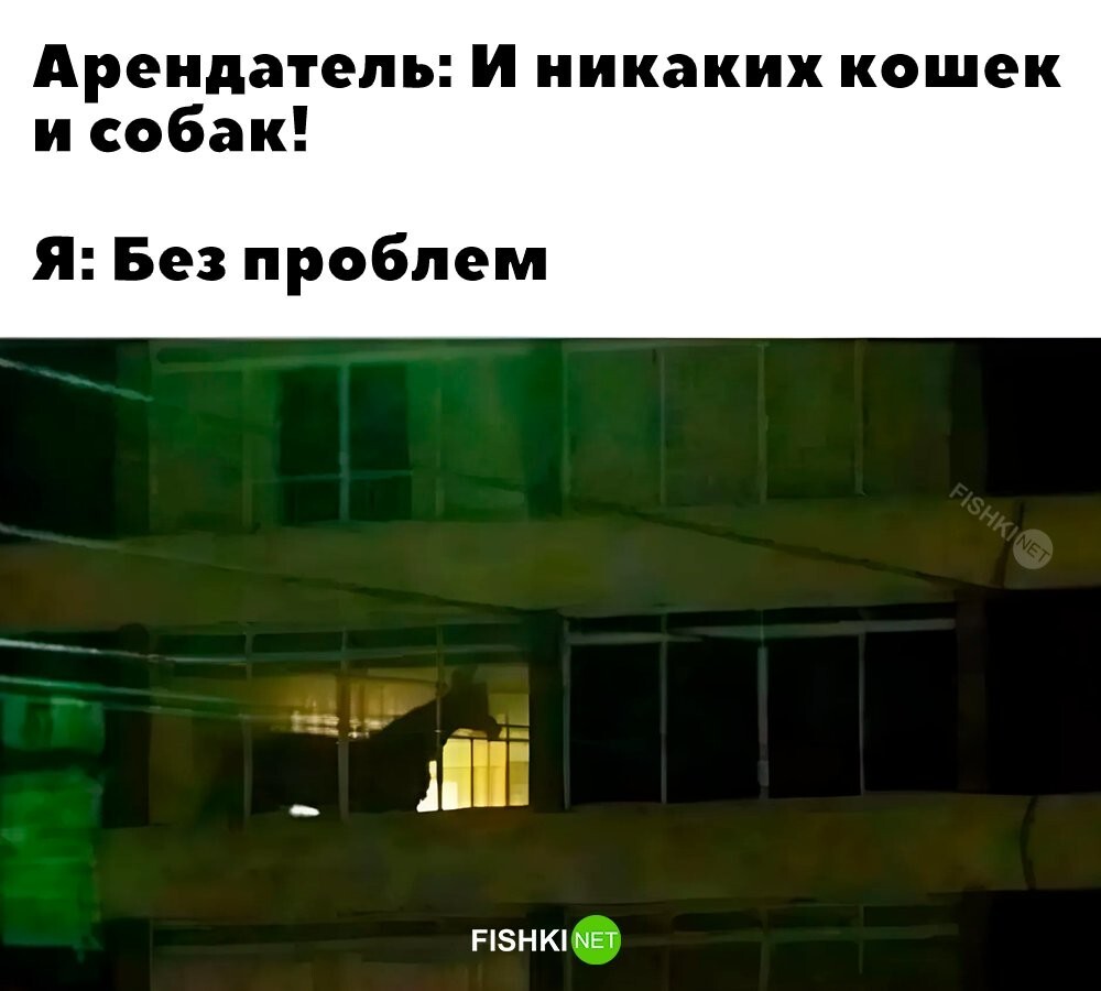 Смешные картинки