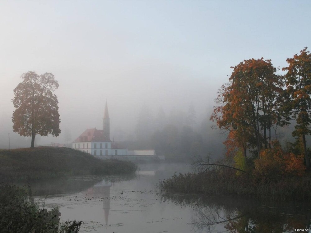 Не знаю кто автор,но фото свежее