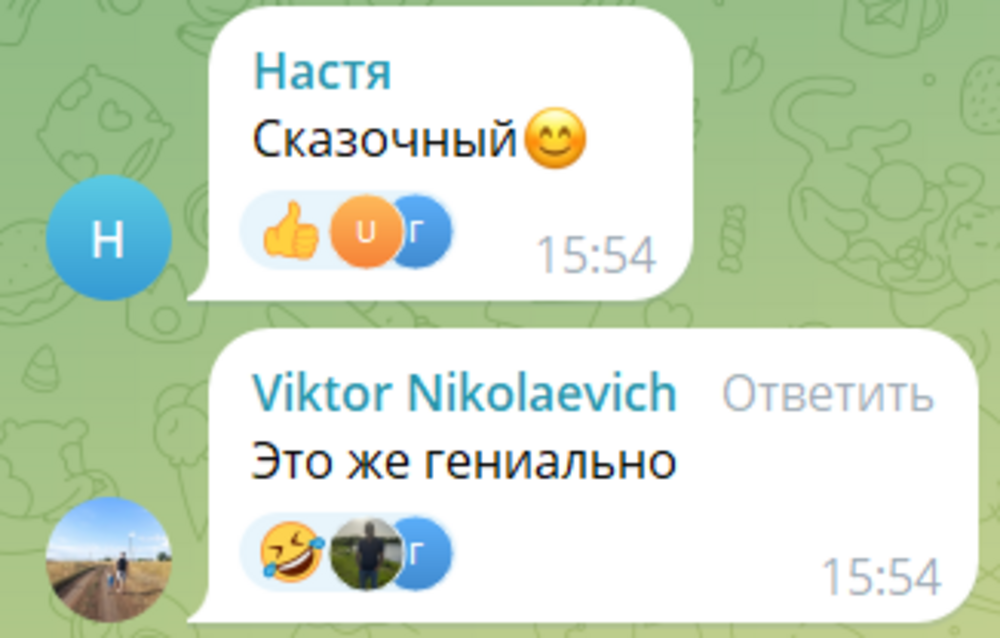 «Пока рожалка работает»: депутат Госдумы посоветовал россиянкам срочно заводить детей