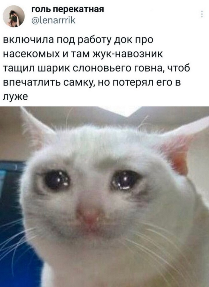 Не ищите здесь смысл. Здесь в основном маразм