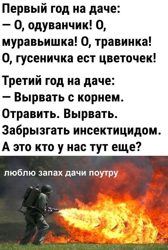 Смешные картинки