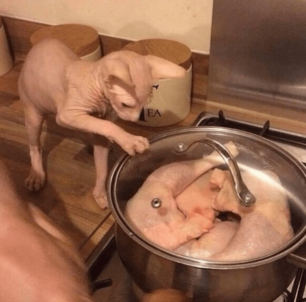 На общую тему 