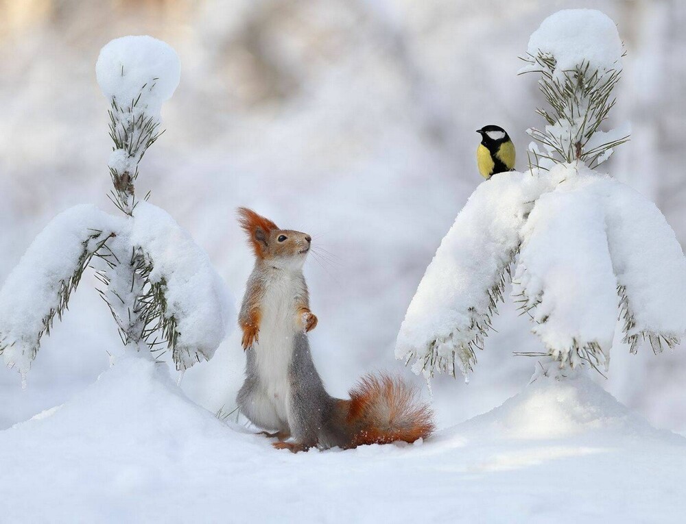 На общую тему 
