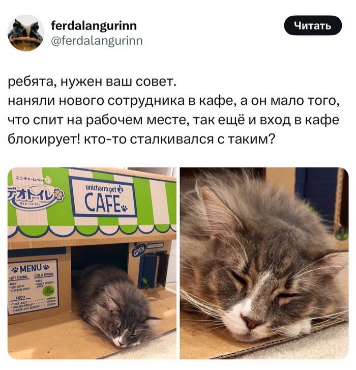 Не ищите здесь смысл. Здесь в основном маразм