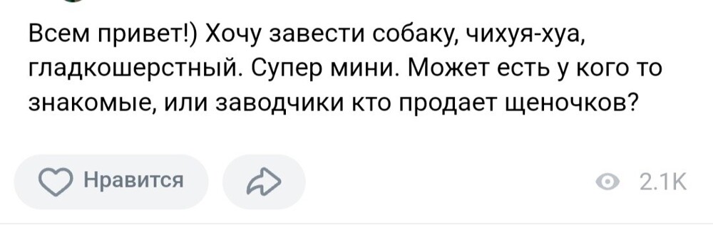 8. Особенная порода