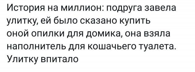 Не ищите здесь смысл. Здесь в основном маразм