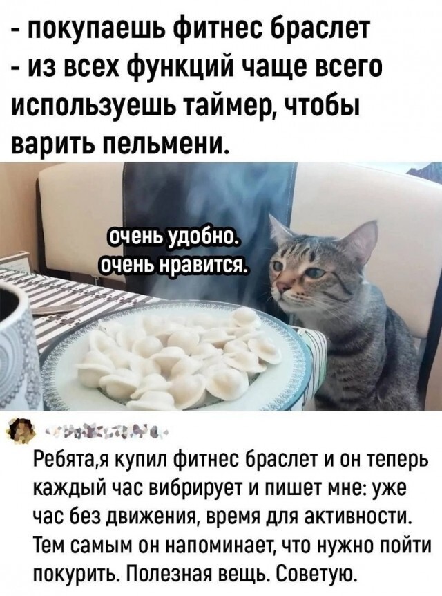 Не ищите здесь смысл. Здесь в основном маразм